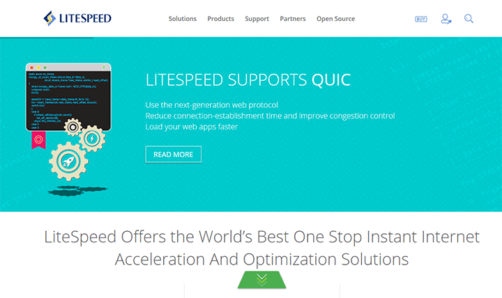 LiteSpeed Web Server